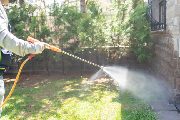 Best Wasp Removal Services  in Kentland, IN