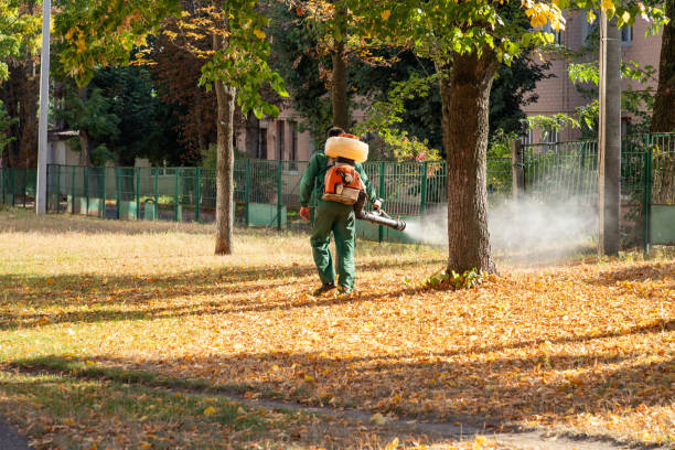 Best Affordable Pest Control Services  in Kentland, IN